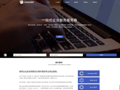 庄河企业咨询顾问公司网站设计-案例