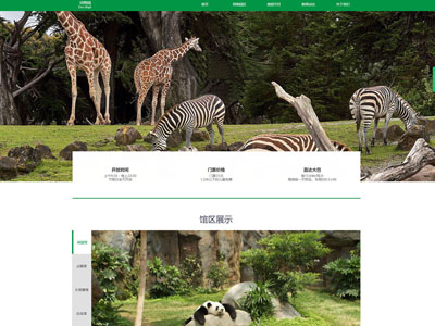 宽屏动物园网站建设网页设计-案例